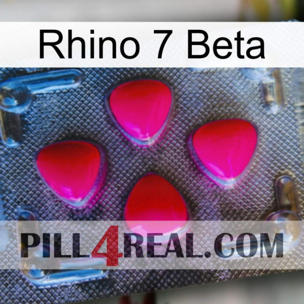 Rhino 7 Beta 13.jpg